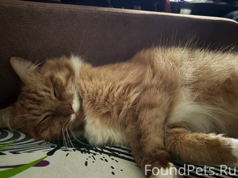 Добрый день, не могли бы вы...