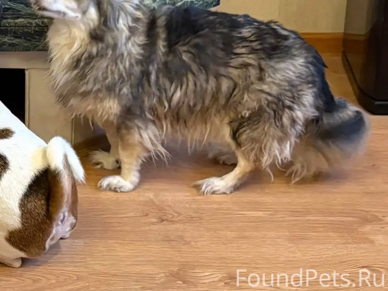 ❗️Внимание ❗️ Сегодня вечером ...