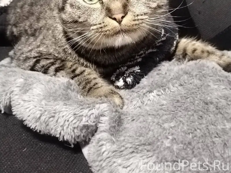 Здравствуйте всем, у нас в сем...