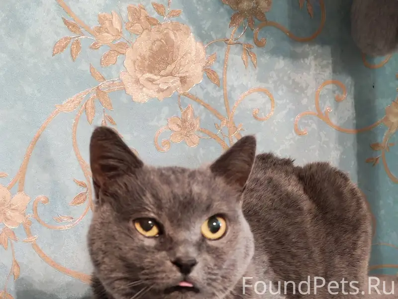 19.12.2025 19:27 Найден...