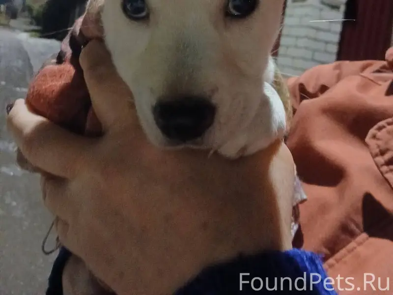 Г.Юрьев-Польский. 19 декабря в...