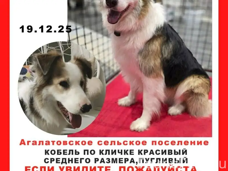 Не мое. Вот такое сообщение пр...