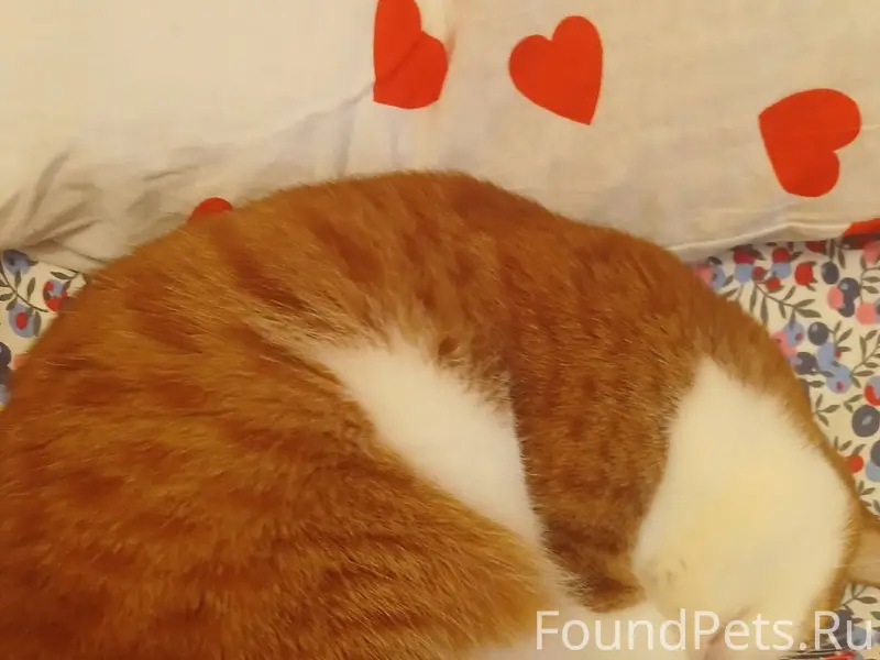 Админ пожалуйста опубликуйте!!...