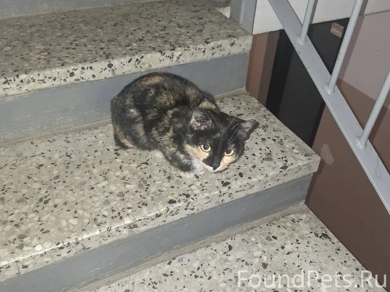 Поселок новый, 14. В подъезде ...