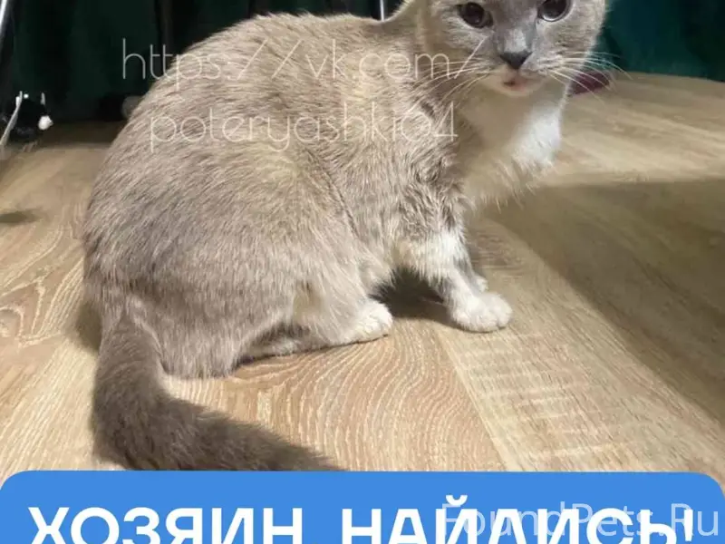 Саратов, Юбилейный, район парк...