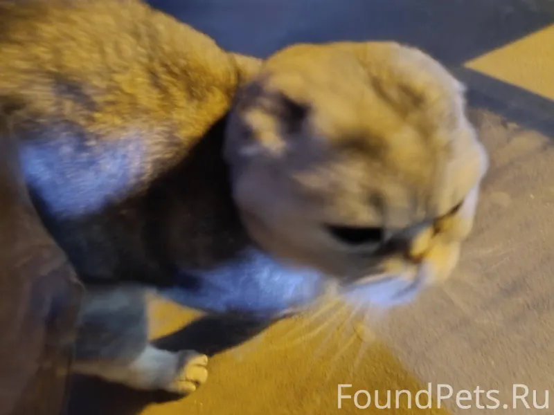 Тольятти. Добрый день. 8 декаб...