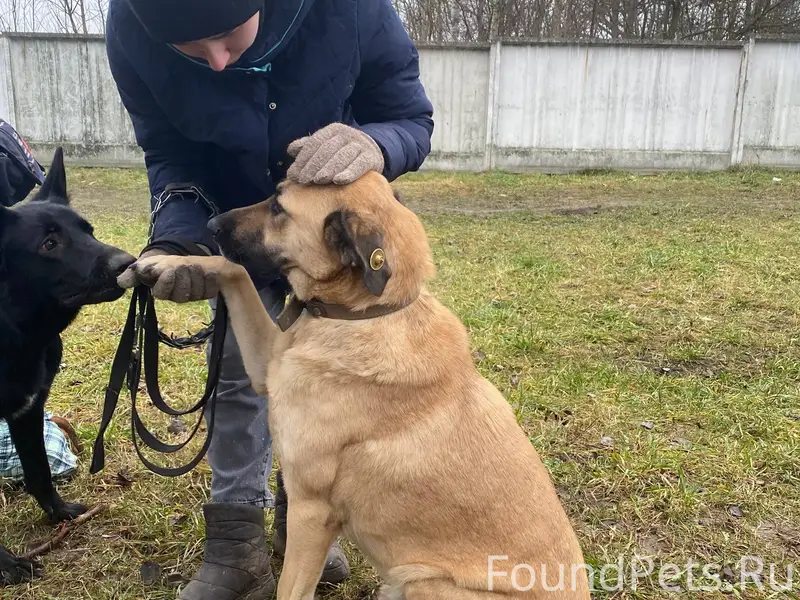 ‼️‼️‼️‼️‼️‼️ ПОМОГИТЕ НАЙТИ ХО...