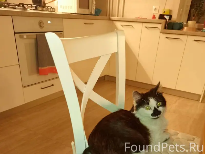 Симферополь. Прошу сделать пер...