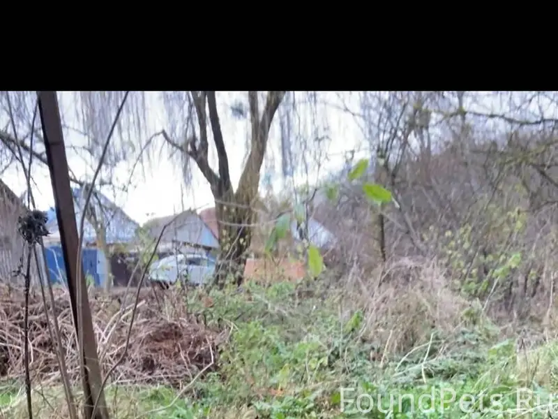 Добрый день .Вчера я шла со...