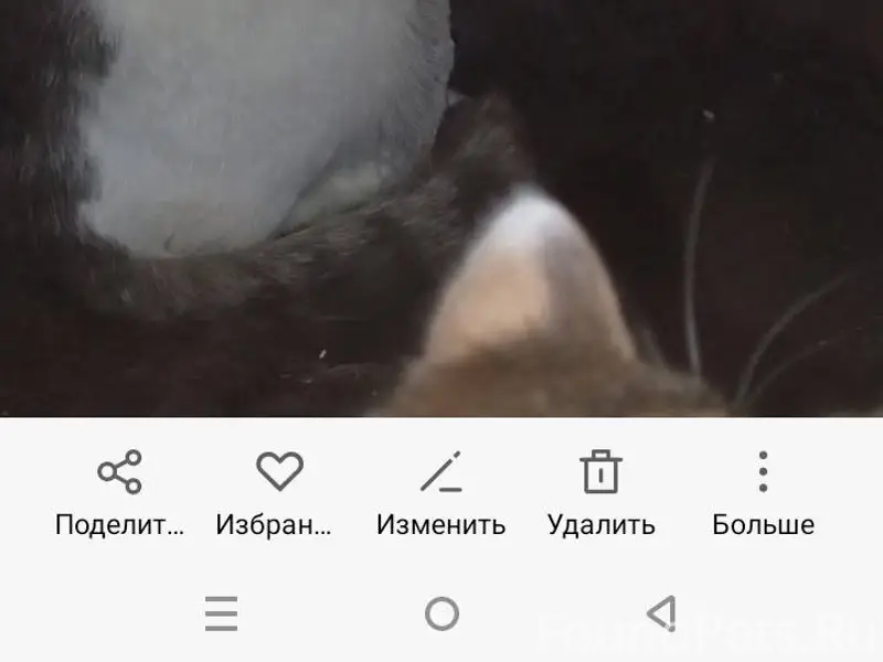 21 го ноября среди белого дня....