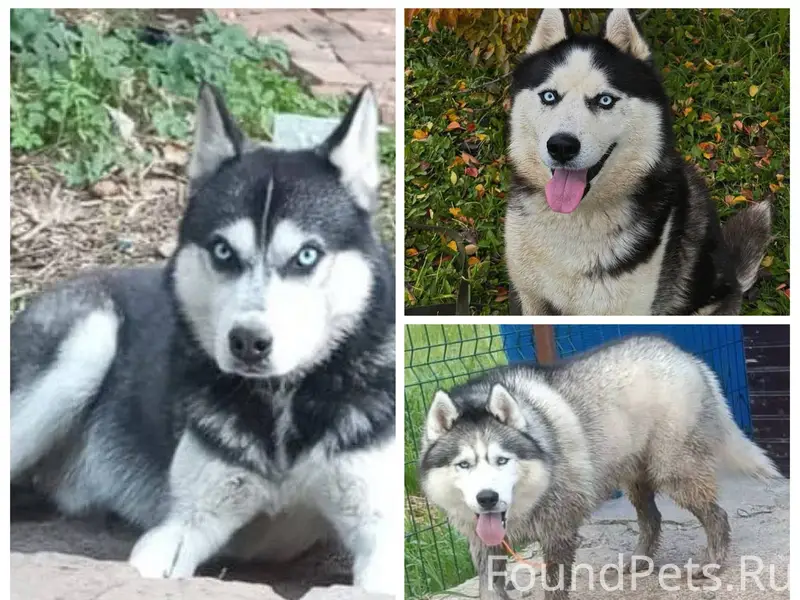 #ОтПодписчиков ‼️ В ЛУХОВИЦАХ ...