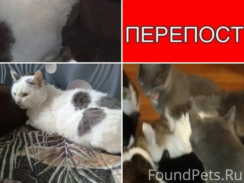 [id248325064|Алсу Мурадымова] ...