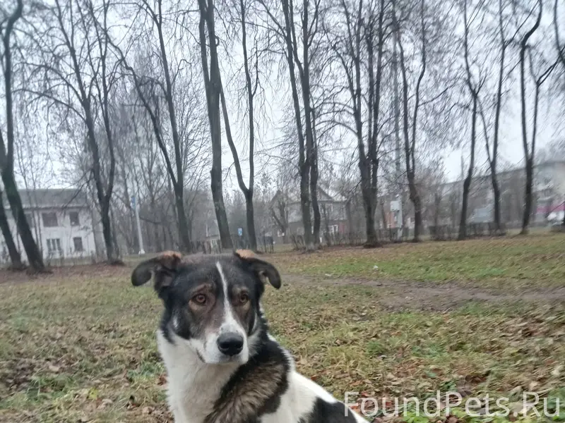 Добрый день! Помогите найти со...