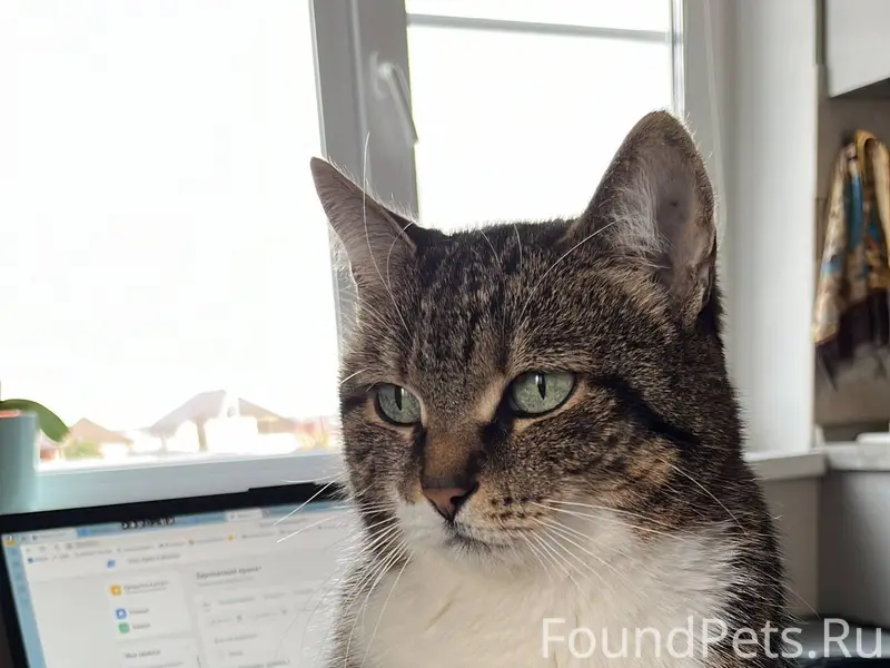 🆘⚡❗ Помогите найти ❗⚡🆘 📍Северн...