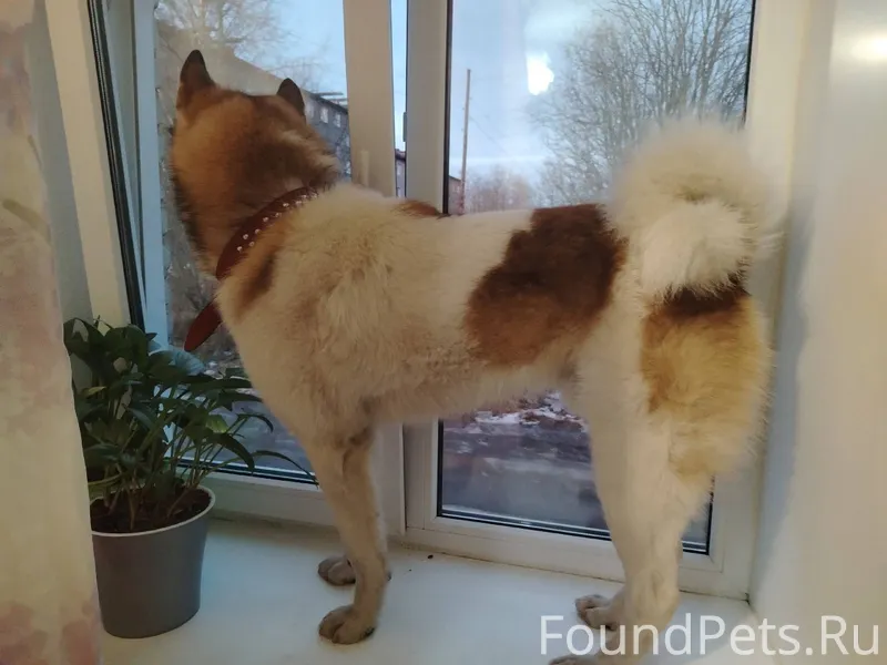 Добрый вечер! Подскажите пожал...