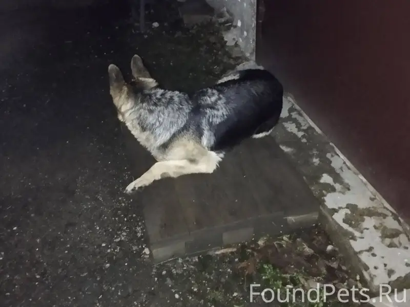 На территории столовой ТАТУ по...