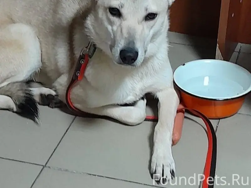 ЛО, Гатчинский р-н, Верево vk....