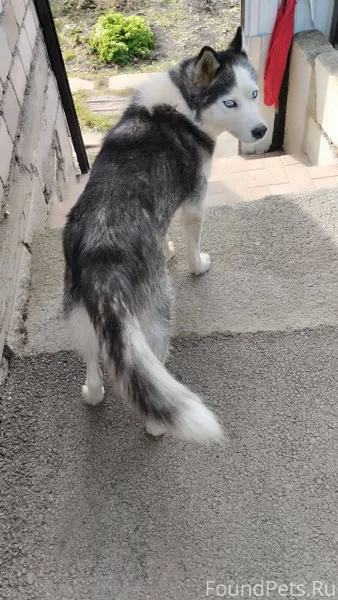 Потеряла друга , не вернулся с...