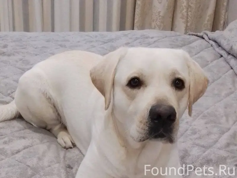 Ребята, пожалуйста помогите на...