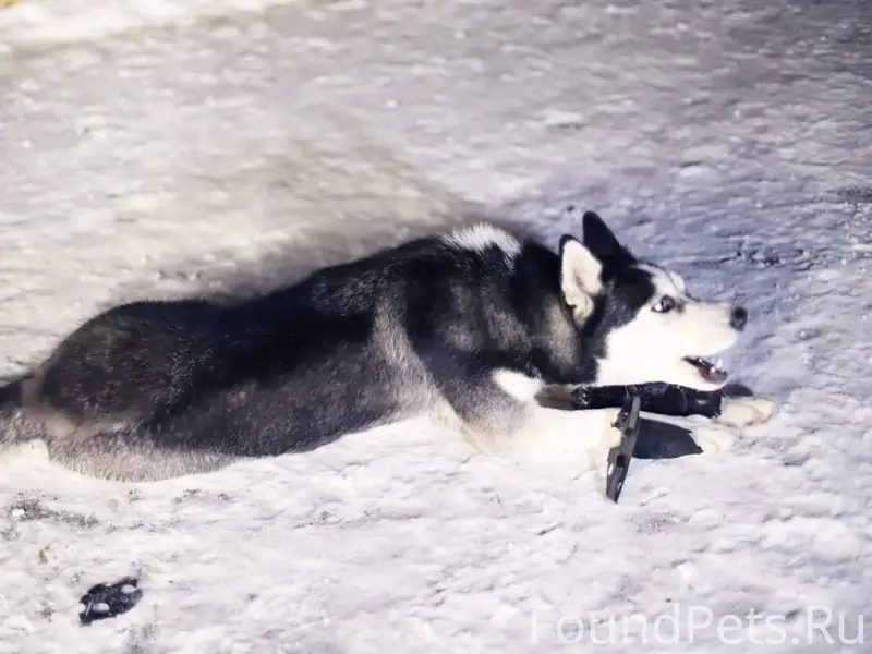 Срочно!!! Только что убежала с...