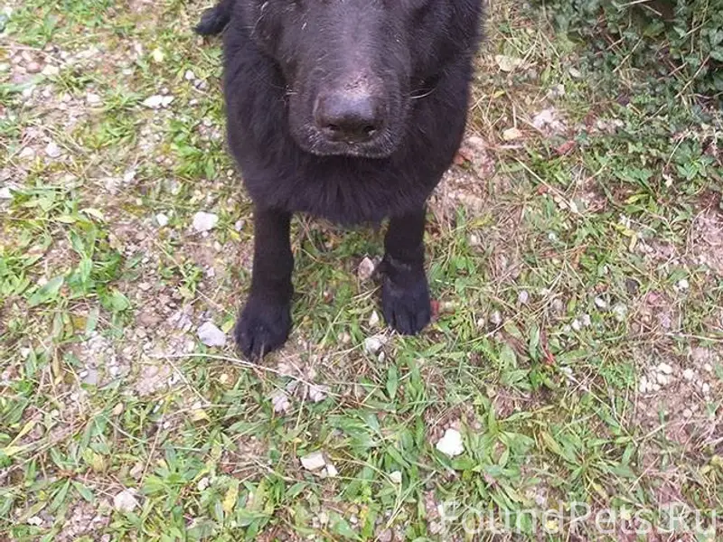 SOS!!! Новороссийцы, земляки! ...