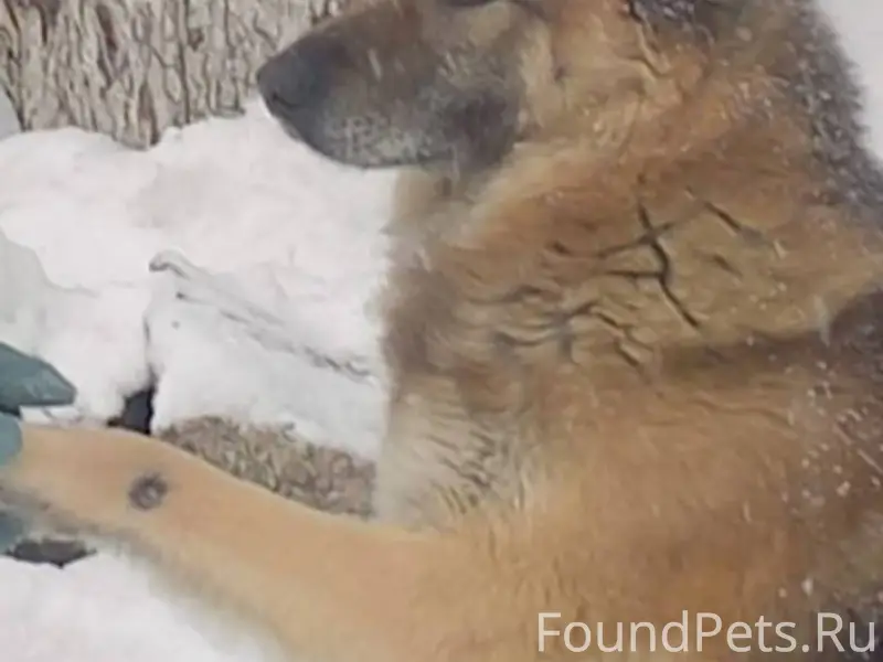 #Бгдпомоги #Богданович Всем до...