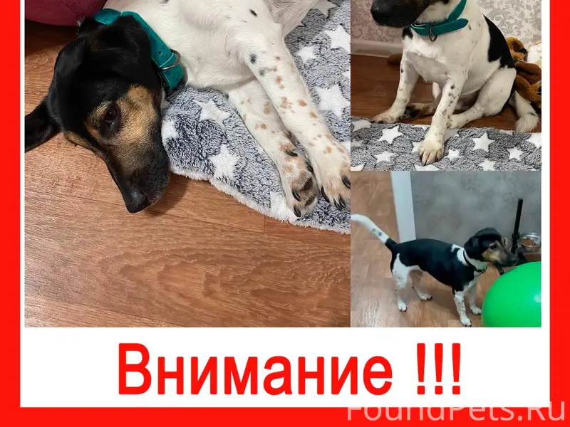 Не теряю надежды найти своего ...