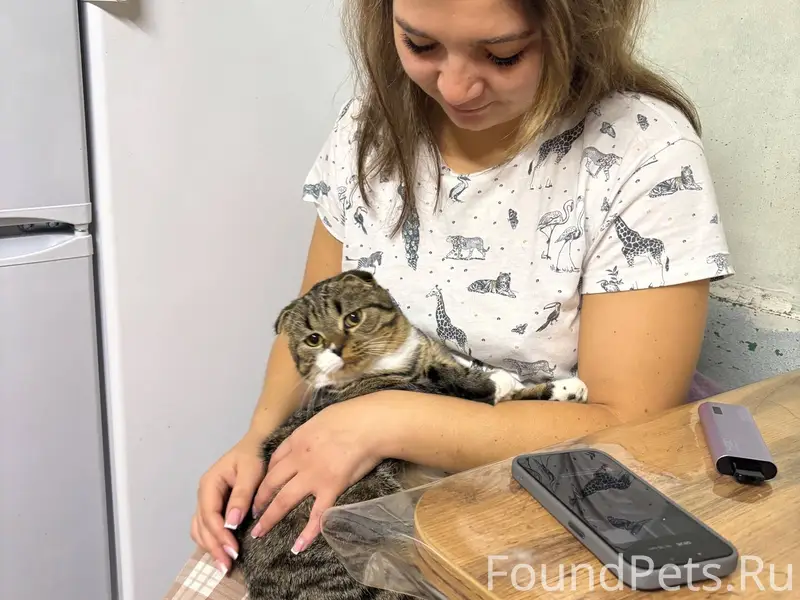 Доброго времени суток!!С частн...