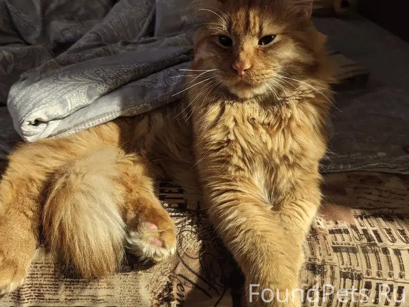 От населения. Просьба, если кт...