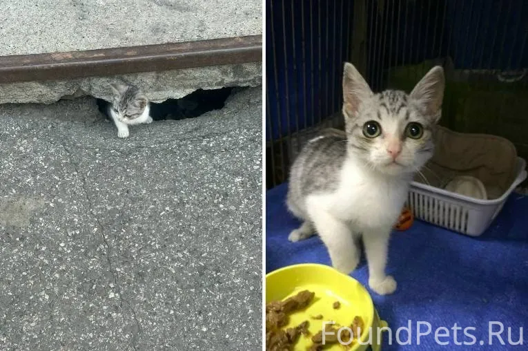 ‼ К сбору 1600р ‼ Сбор...