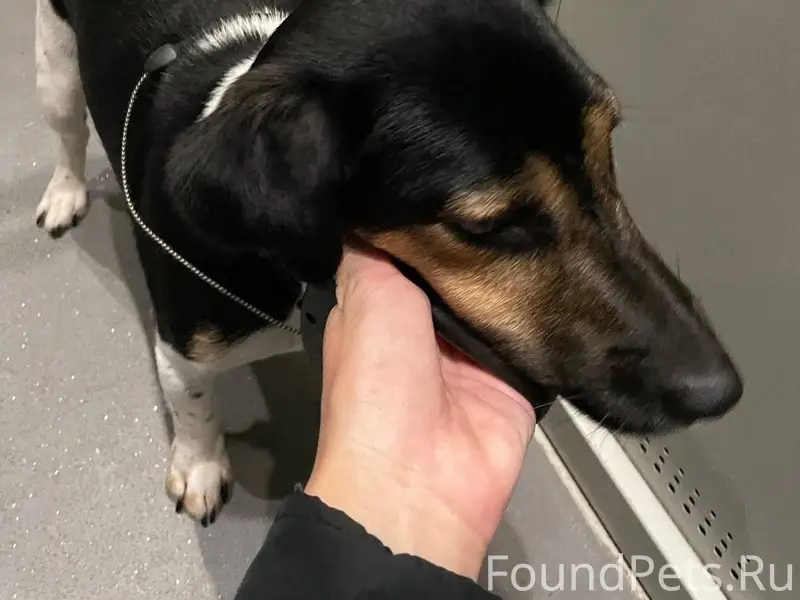 Не теряю надежды найти своего ...