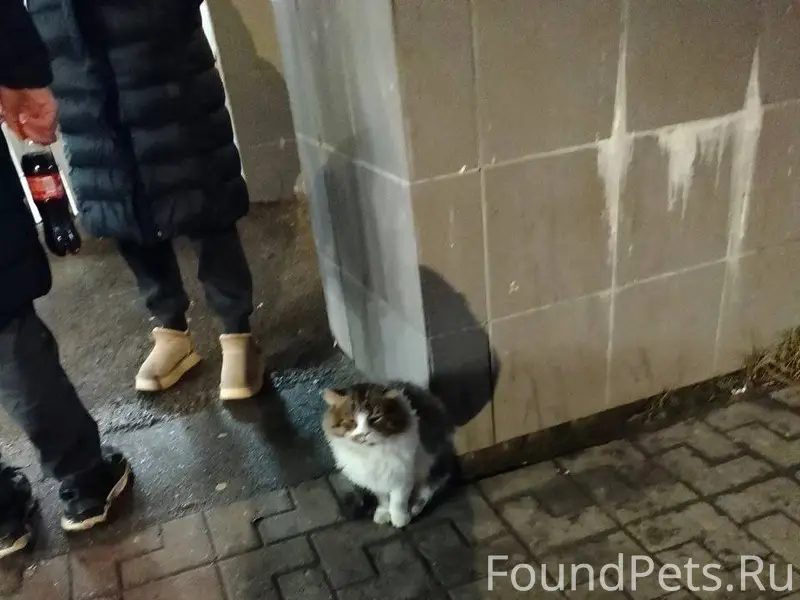 Орехово-Зуево ‼️На вокзале най...