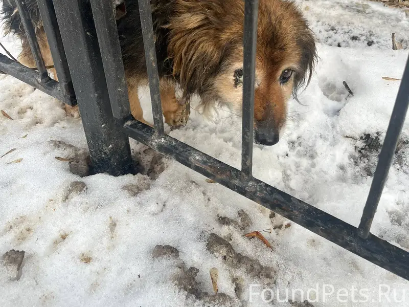 ‼️‼️‼️ Друзья, вчера встретила...