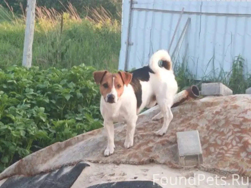 ПОМОГИТЕ НАЙТИ 🙏 🆘️Новая жизнь...