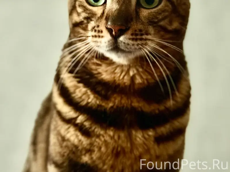 19.12.2025 примерно 22:30...