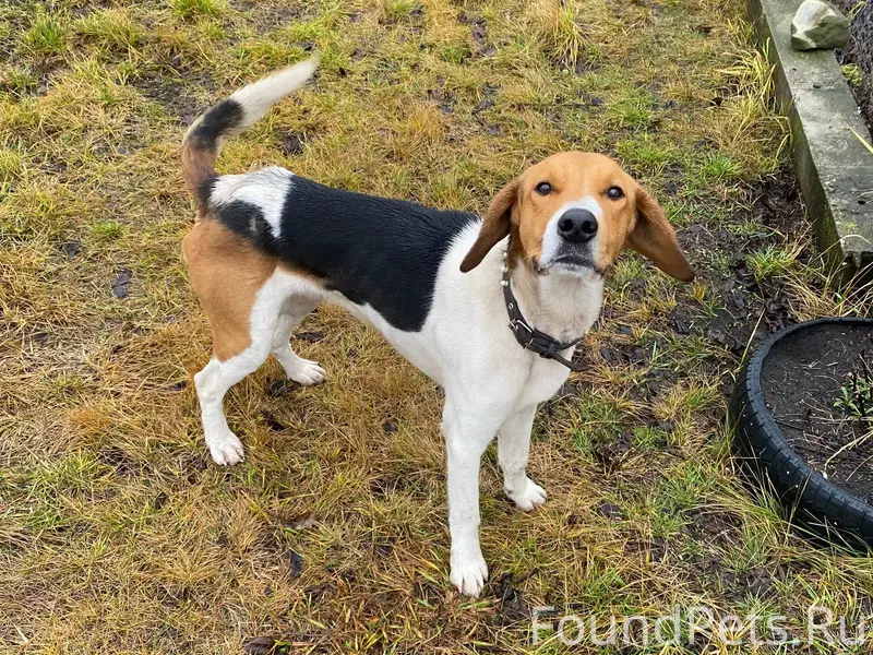 Репост, пожалуйста 🙂 🙏 Круг до...