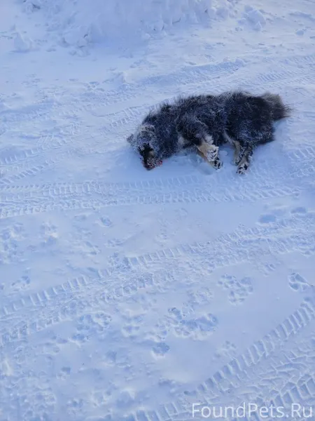 Новая Ляля!!!! На улице 9 Янва...