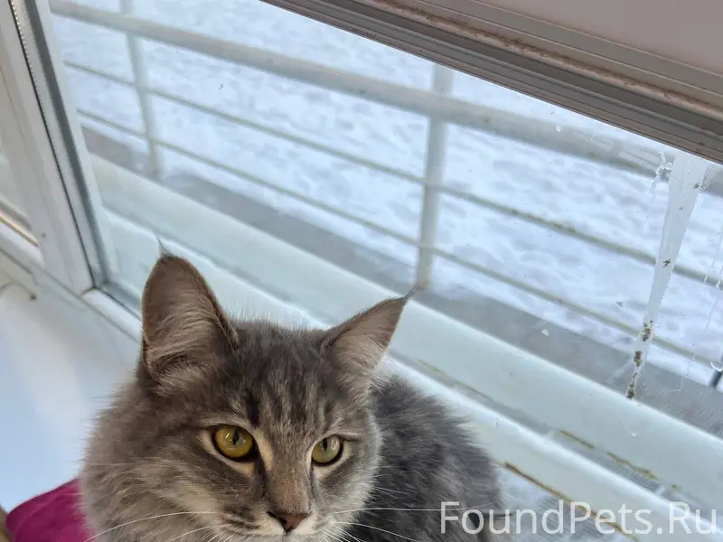 🆘Орск! 🆘 Помогите распространи...