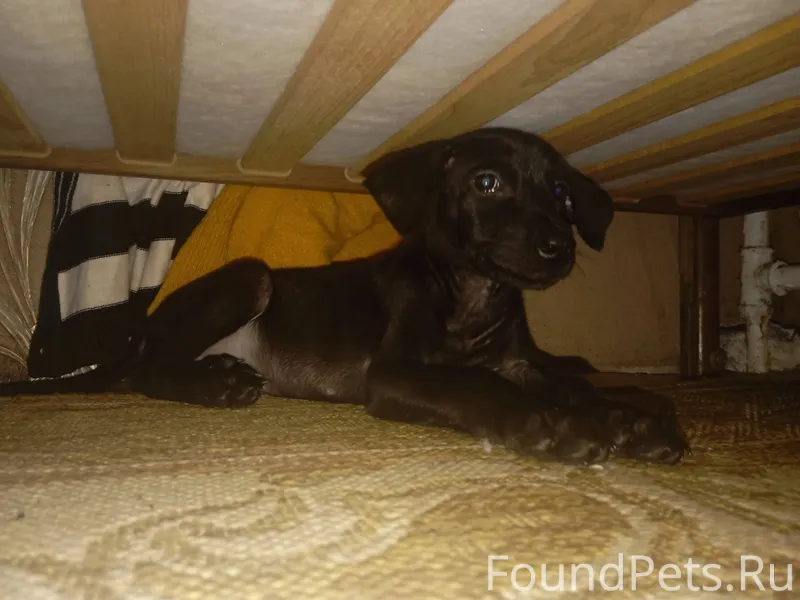 СРОЧНО!!!! ПРОСТО НАСТОЯЩИЙ 🆘️...