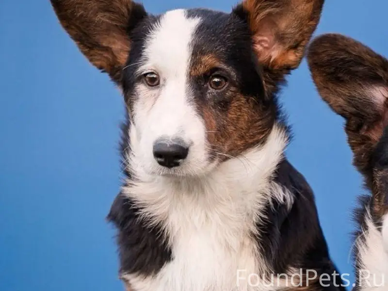 SOS Рязань, ул Бирюзова д 26.....