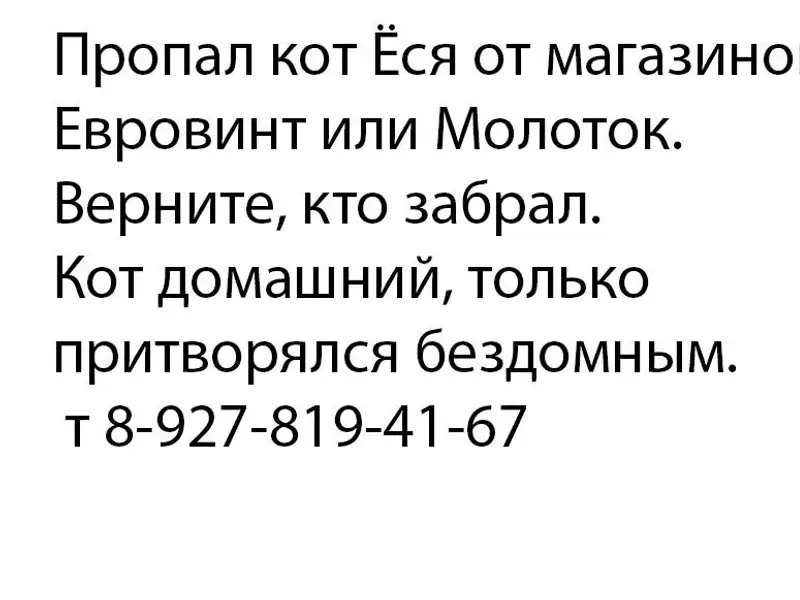 Пропал кот! Верните, кто забра...