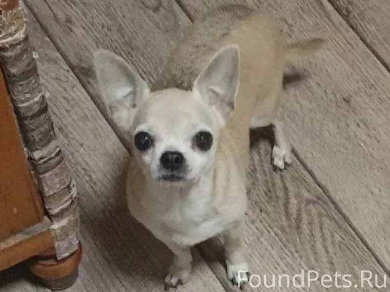 Выложите, пожалуйста Пропала с...