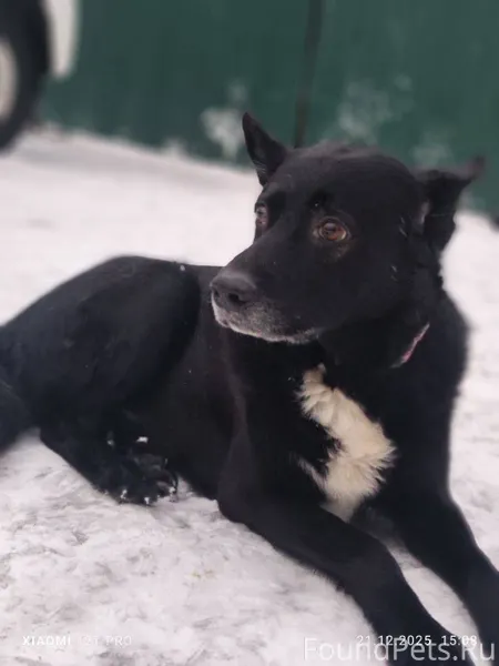 ВНИМАНИЕ ❗️❗️❗️ Сегодня к прию...