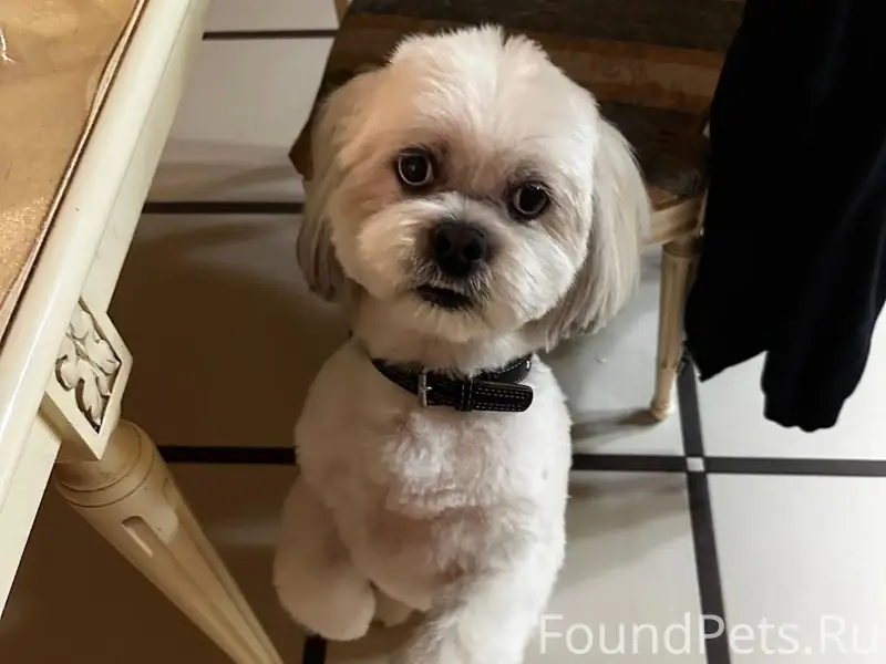 20 декабря, в 21-21.30...