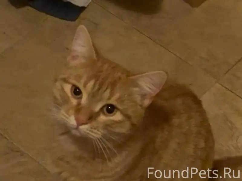 Всем доброго времени суток!Пот...