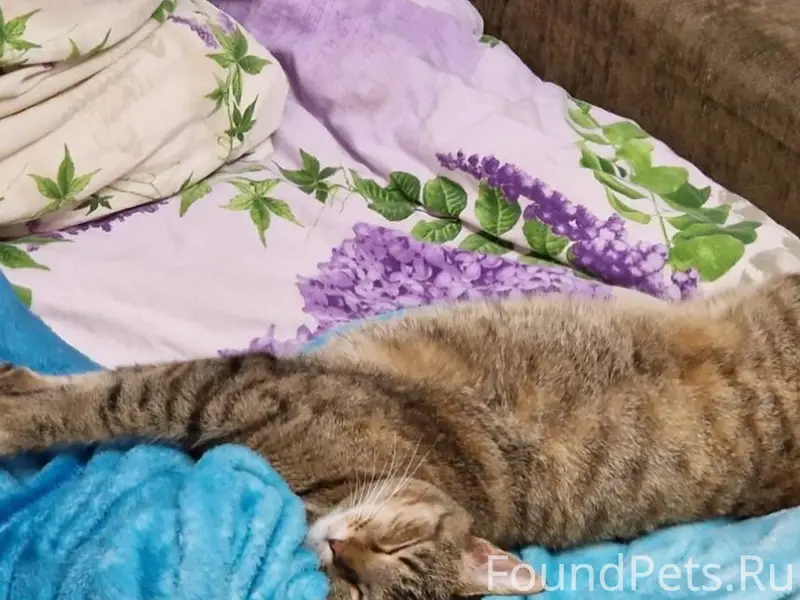 Уважаемые друзья, нужна ваша п...