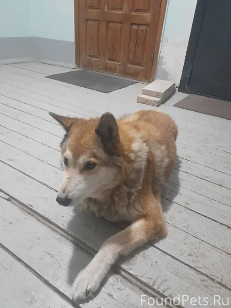 Всем добрый вечер кто то потер...