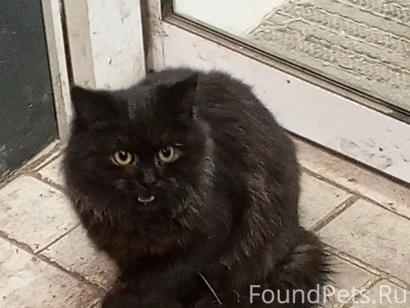 НАЙДЕНА НА ПЕРЕКОПЕ У МАГНИТА!...