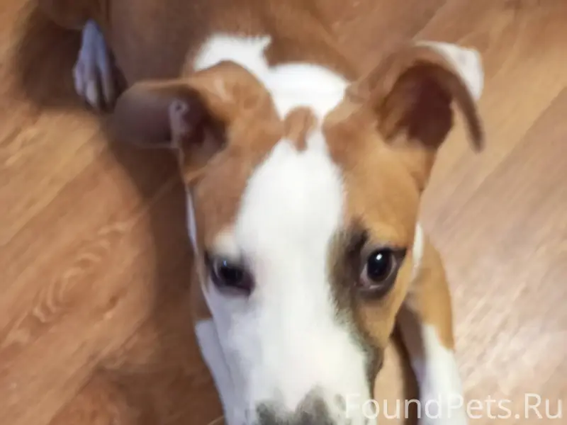 Добрый вечер. Наверно многие и...