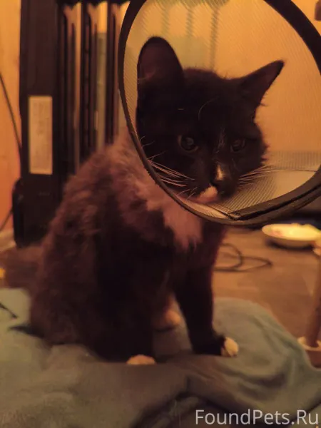 18 декабря ночью на трассе при...